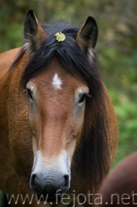 Nombre del archivo=081013_037.jpg
Tamaño del archivo=80Kb
Dimensiones=332x500
Fecha añadida=14 de Noviembre de 11 081013_037.jpg