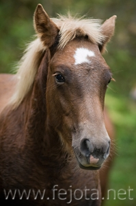 Nombre del archivo=081013_043.jpg
Tamaño del archivo=80Kb
Dimensiones=333x500
Fecha añadida=14 de Noviembre de 11 081013_043.jpg