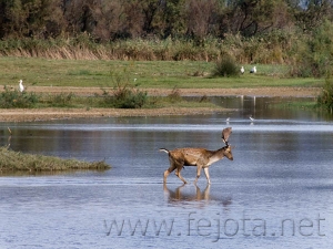 Nombre del archivo=081023_013.jpg
Tamaño del archivo=83Kb
Dimensiones=600x450
Fecha añadida=14 de Noviembre de 11 081023_013.jpg
