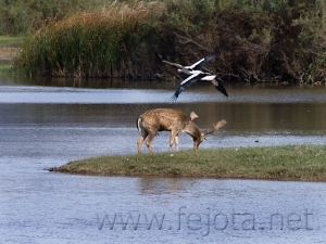 Nombre del archivo=081023_015.jpg
Tamaño del archivo=98Kb
Dimensiones=600x450
Fecha añadida=14 de Noviembre de 11 081023_015.jpg