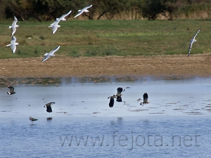 Nombre del archivo=081023_028.jpg
Tamaño del archivo=85Kb
Dimensiones=600x450
Fecha añadida=14 de Noviembre de 11 081023_028.jpg