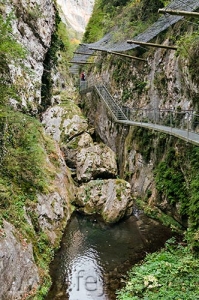 Nombre del archivo=081028_046.jpg
Tamaño del archivo=113Kb
Dimensiones=332x500
Fecha añadida=14 de Noviembre de 11 081028_046.jpg