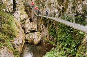 Nombre del archivo=081028_050.jpg
Tamaño del archivo=120Kb
Dimensiones=500x332
Fecha añadida=14 de Noviembre de 11 081028_050.jpg