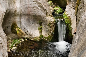 Nombre del archivo=081028_055.jpg
Tamaño del archivo=90Kb
Dimensiones=500x332
Fecha añadida=14 de Noviembre de 11 081028_055.jpg