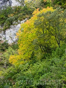 Nombre del archivo=081028_059.jpg
Tamaño del archivo=128Kb
Dimensiones=375x500
Fecha añadida=14 de Noviembre de 11 081028_059.jpg