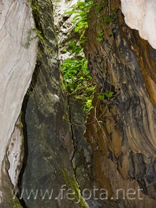 Nombre del archivo=081028_064.jpg
Tamaño del archivo=105Kb
Dimensiones=375x500
Fecha añadida=14 de Noviembre de 11 081028_064.jpg