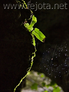 Nombre del archivo=081028_065.jpg
Tamaño del archivo=62Kb
Dimensiones=375x500
Fecha añadida=14 de Noviembre de 11 081028_065.jpg