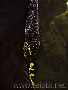 Nombre del archivo=081028_067.jpg
Tamaño del archivo=61Kb
Dimensiones=375x500
Fecha añadida=14 de Noviembre de 11 081028_067.jpg