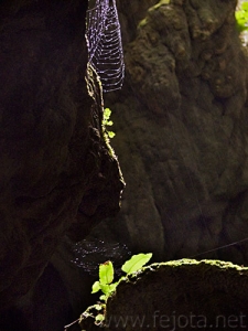 Nombre del archivo=081028_068.jpg
Tamaño del archivo=67Kb
Dimensiones=375x500
Fecha añadida=14 de Noviembre de 11 081028_068.jpg