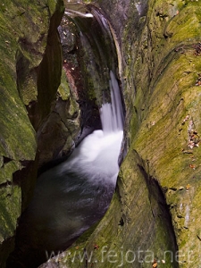 Nombre del archivo=081028_071.jpg
Tamaño del archivo=96Kb
Dimensiones=375x500
Fecha añadida=14 de Noviembre de 11 081028_071.jpg