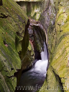 Nombre del archivo=081028_073.jpg
Tamaño del archivo=108Kb
Dimensiones=375x500
Fecha añadida=14 de Noviembre de 11 081028_073.jpg