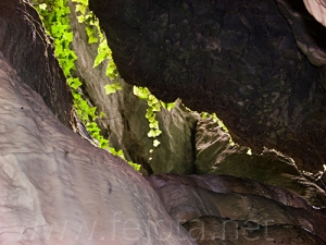 Nombre del archivo=081028_078.jpg
Tamaño del archivo=84Kb
Dimensiones=500x375
Fecha añadida=14 de Noviembre de 11 081028_078.jpg