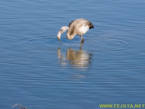 Nombre del archivo=081103_025.jpg
Tamaño del archivo=206Kb
Dimensiones=500x375
Fecha añadida=25 de Noviembre de 11 081103_025.jpg