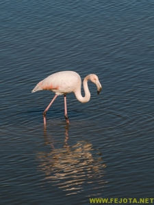 Nombre del archivo=081103_056.jpg
Tamaño del archivo=200Kb
Dimensiones=375x500
Fecha añadida=25 de Noviembre de 11 081103_056.jpg