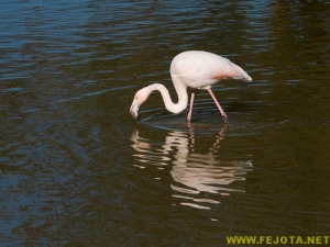 Nombre del archivo=081103_077.jpg
Tamaño del archivo=231Kb
Dimensiones=500x375
Fecha añadida=25 de Noviembre de 11 081103_077.jpg