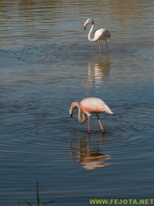 Nombre del archivo=081103_109.jpg
Tamaño del archivo=193Kb
Dimensiones=375x500
Fecha añadida=25 de Noviembre de 11 081103_109.jpg