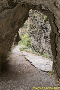 Nombre del archivo=081104_001.jpg
Tamaño del archivo=249Kb
Dimensiones=332x500
Fecha añadida=25 de Noviembre de 11 081104_001.jpg