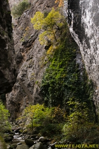 Nombre del archivo=081104_016.jpg
Tamaño del archivo=295Kb
Dimensiones=332x500
Fecha añadida=25 de Noviembre de 11 081104_016.jpg