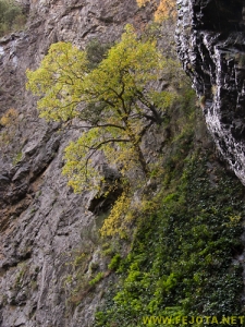 Nombre del archivo=081104_022.jpg
Tamaño del archivo=359Kb
Dimensiones=375x500
Fecha añadida=25 de Noviembre de 11 081104_022.jpg