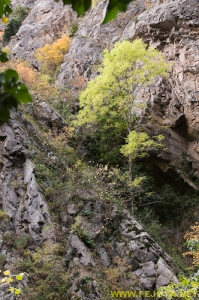 Nombre del archivo=081104_023.jpg
Tamaño del archivo=321Kb
Dimensiones=332x500
Fecha añadida=25 de Noviembre de 11 081104_023.jpg