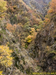 Nombre del archivo=081104_047.jpg
Tamaño del archivo=354Kb
Dimensiones=375x500
Fecha añadida=25 de Noviembre de 11 081104_047.jpg