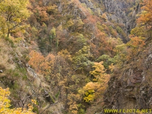 Nombre del archivo=081104_048.jpg
Tamaño del archivo=360Kb
Dimensiones=500x375
Fecha añadida=25 de Noviembre de 11 081104_048.jpg