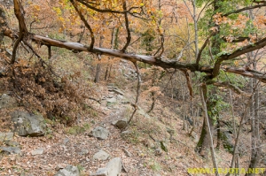 Nombre del archivo=081104_049.jpg
Tamaño del archivo=374Kb
Dimensiones=500x332
Fecha añadida=25 de Noviembre de 11 081104_049.jpg