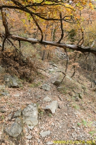 Nombre del archivo=081104_050.jpg
Tamaño del archivo=380Kb
Dimensiones=332x500
Fecha añadida=25 de Noviembre de 11 081104_050.jpg