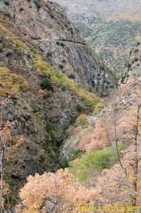 Nombre del archivo=081104_054.jpg
Tamaño del archivo=347Kb
Dimensiones=332x500
Fecha añadida=25 de Noviembre de 11 081104_054.jpg