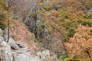 Nombre del archivo=081104_056.jpg
Tamaño del archivo=361Kb
Dimensiones=500x332
Fecha añadida=25 de Noviembre de 11 081104_056.jpg