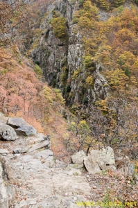 Nombre del archivo=081104_057.jpg
Tamaño del archivo=348Kb
Dimensiones=332x500
Fecha añadida=25 de Noviembre de 11 081104_057.jpg