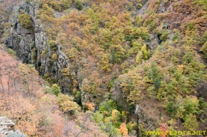 Nombre del archivo=081104_060.jpg
Tamaño del archivo=358Kb
Dimensiones=500x332
Fecha añadida=25 de Noviembre de 11 081104_060.jpg