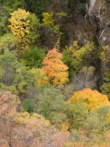 Nombre del archivo=081104_067.jpg
Tamaño del archivo=379Kb
Dimensiones=375x500
Fecha añadida=25 de Noviembre de 11 081104_067.jpg