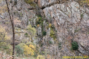 Nombre del archivo=081104_077.jpg
Tamaño del archivo=353Kb
Dimensiones=500x332
Fecha añadida=25 de Noviembre de 11 081104_077.jpg