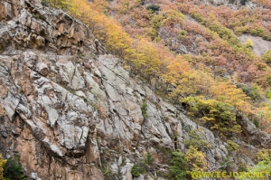 Nombre del archivo=081104_080.jpg
Tamaño del archivo=348Kb
Dimensiones=500x332
Fecha añadida=25 de Noviembre de 11 081104_080.jpg