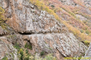 Nombre del archivo=081104_090.jpg
Tamaño del archivo=341Kb
Dimensiones=500x332
Fecha añadida=25 de Noviembre de 11 081104_090.jpg