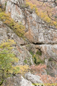 Nombre del archivo=081104_092.jpg
Tamaño del archivo=359Kb
Dimensiones=332x500
Fecha añadida=25 de Noviembre de 11 081104_092.jpg