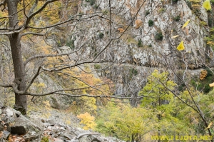 Nombre del archivo=081104_095.jpg
Tamaño del archivo=362Kb
Dimensiones=500x332
Fecha añadida=25 de Noviembre de 11 081104_095.jpg