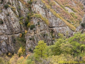 Nombre del archivo=081104_102.jpg
Tamaño del archivo=373Kb
Dimensiones=500x375
Fecha añadida=25 de Noviembre de 11 081104_102.jpg