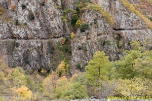 Nombre del archivo=081104_104.jpg
Tamaño del archivo=336Kb
Dimensiones=500x332
Fecha añadida=25 de Noviembre de 11 081104_104.jpg