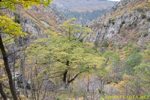 Nombre del archivo=081104_108.jpg
Tamaño del archivo=358Kb
Dimensiones=500x332
Fecha añadida=25 de Noviembre de 11 081104_108.jpg