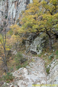 Nombre del archivo=081104_109.jpg
Tamaño del archivo=364Kb
Dimensiones=332x500
Fecha añadida=25 de Noviembre de 11 081104_109.jpg