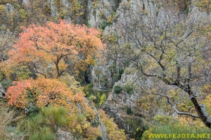 Nombre del archivo=081104_114.jpg
Tamaño del archivo=371Kb
Dimensiones=500x332
Fecha añadida=25 de Noviembre de 11 081104_114.jpg