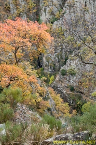 Nombre del archivo=081104_115.jpg
Tamaño del archivo=363Kb
Dimensiones=332x500
Fecha añadida=25 de Noviembre de 11 081104_115.jpg