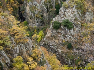 Nombre del archivo=081104_119.jpg
Tamaño del archivo=375Kb
Dimensiones=500x375
Fecha añadida=25 de Noviembre de 11 081104_119.jpg