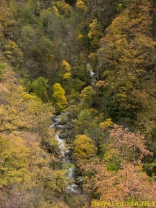 Nombre del archivo=081104_125.jpg
Tamaño del archivo=367Kb
Dimensiones=375x500
Fecha añadida=25 de Noviembre de 11 081104_125.jpg