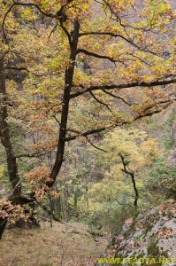 Nombre del archivo=081104_128.jpg
Tamaño del archivo=380Kb
Dimensiones=332x500
Fecha añadida=25 de Noviembre de 11 081104_128.jpg