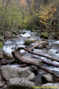 Nombre del archivo=081104_142.jpg
Tamaño del archivo=313Kb
Dimensiones=332x500
Fecha añadida=25 de Noviembre de 11 081104_142.jpg