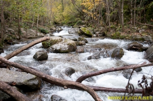 Nombre del archivo=081104_148.jpg
Tamaño del archivo=306Kb
Dimensiones=500x332
Fecha añadida=25 de Noviembre de 11 081104_148.jpg