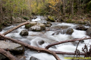 Nombre del archivo=081104_149.jpg
Tamaño del archivo=278Kb
Dimensiones=500x332
Fecha añadida=25 de Noviembre de 11 081104_149.jpg